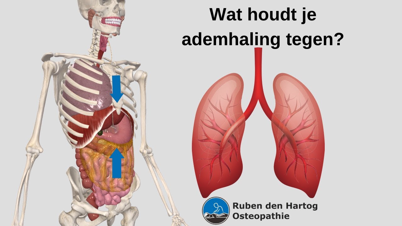 Niet voldoende lucht? Of kan je niet goed inademen? Osteopaat legt