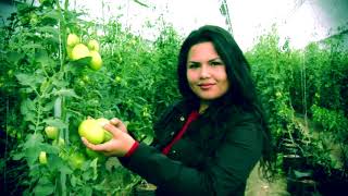 Tecnológico Nacional de México Roque