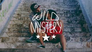 Indeep - Last Night A Dj Saved My Life Mankel Remix