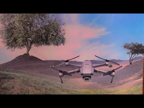 محميه الملك سلمان بن عبدالعزيز شي بياخد العقل