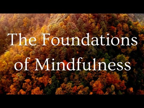 The Foundations of Mindfulness—Online Course with Ven. Bhikkhu Anālayo Starts October 1