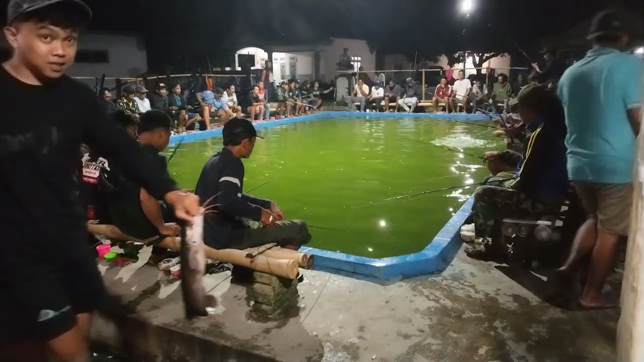 Galatama ikan lele Kp. Dirgantara Ngrawan Wonodadi Rabu 14 januari 2026 Tiket 100rb untuk 2x show