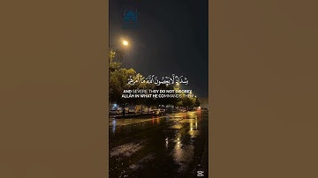 يا أيها الذين كفروا لا تعتذروا اليوم || القارىء ياسر الدوسري #آيات_النور_verses_of_light #سبحان_الله