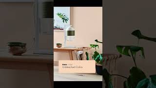 Popular Dulux Orange Colors 2024 #manatrends #dulux