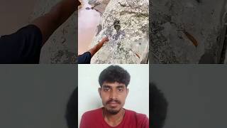 😱 @gu_ruji #animals #reelshorts #shortvideo #shorts #short #ytshorts #viral
