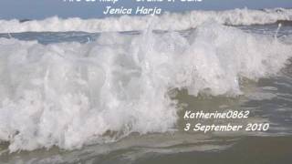 Fire de nisip - Jenica Harja