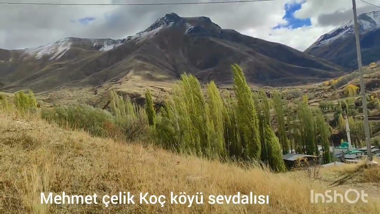 Erzurum İspir koç köyü