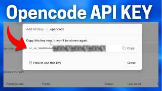 How To Get OpenCode API Key (step by step)