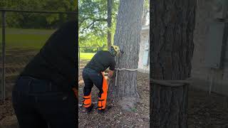 SRT CLIMBING | Arborist Tree Climbing Techniques #climber #treework #staysafe #arborist #logging