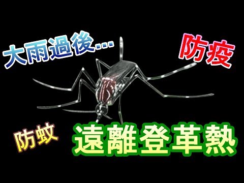 GPLUS | 大雨過後 | 教你遠離登革熱 | GP防蚊空清機