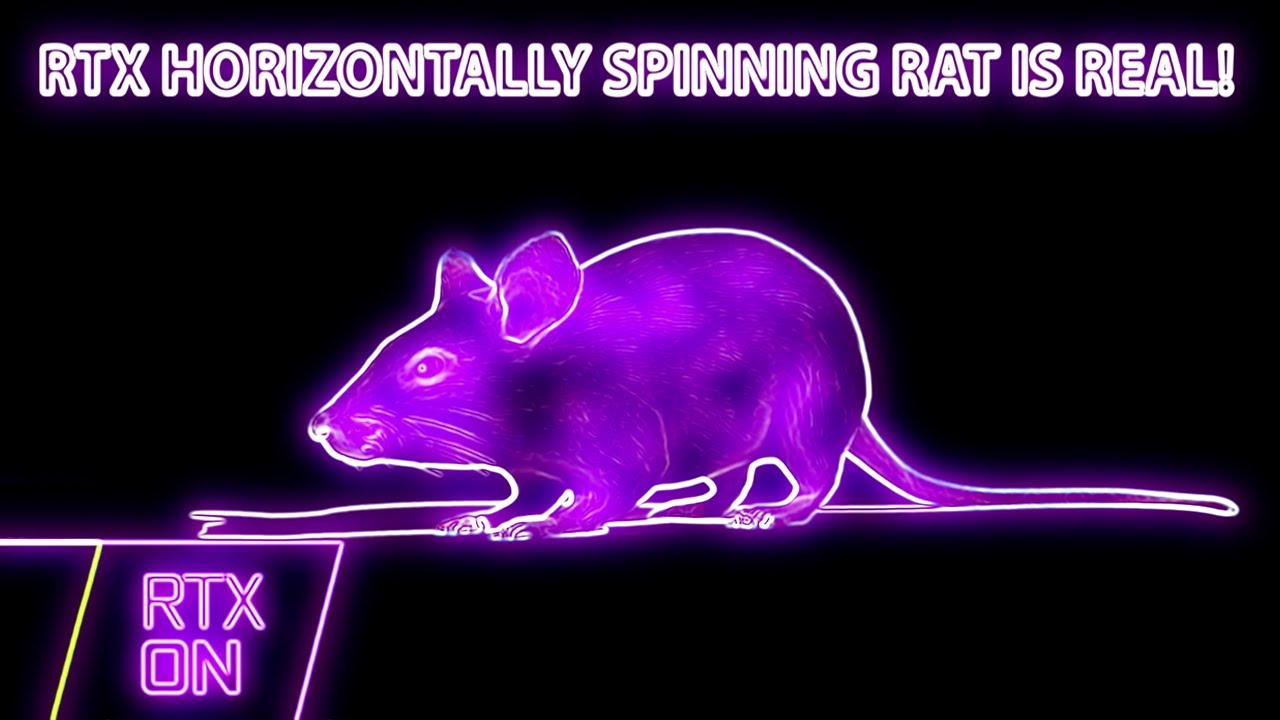 Horizontally Spinning Rat