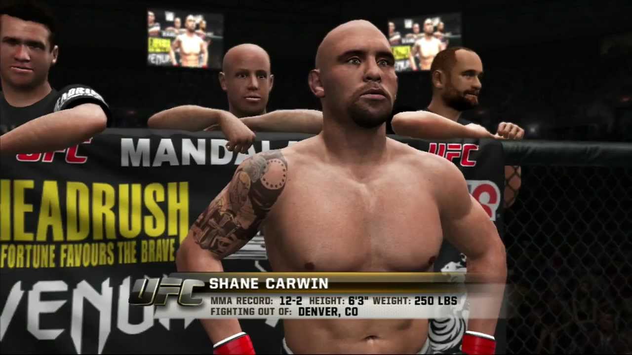 Shane Carwin vs Roy Nelson UFC Undisputed 3 - YouTube