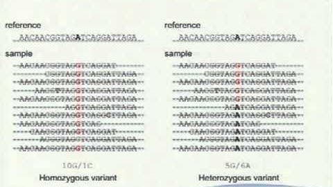 L04-2 DNA-seq II - NGS lecture series 2011
