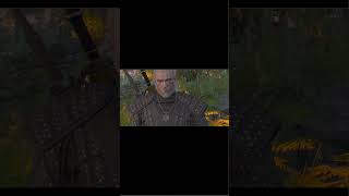 Rozmowa przed walką z misji Jak wilk z kotem! #wiedźmin #gaming #witcher3 #gameplay #rpg  #games
