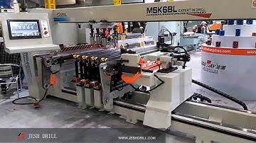 JESHDRILL MSK6BL CNC woodworking 6 rows auto feeding boring machine