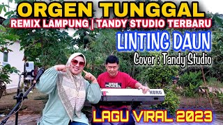 ORGEN TUNGGAL | LINTING DAUN COVER TANDY STUDIO | REMIX LAMPUNG TERBARU @tandystudio6343