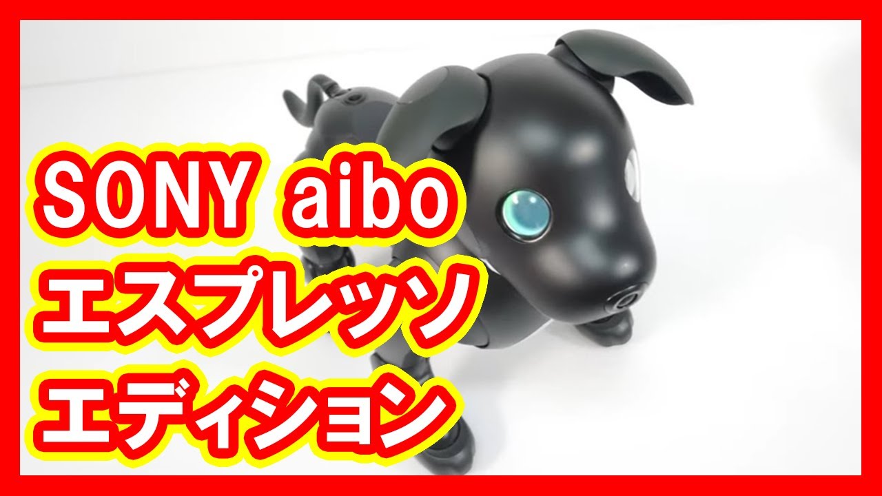 aibo エスプレッソエディション買取 | 高価買取・宅配買取・無料査定 