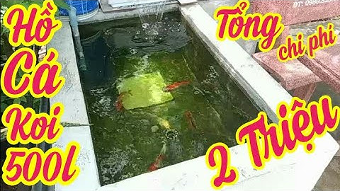 Hồ Cá koi 500l Chi Phí Thấp 2 Triệu - Lọc 3 Ngăn + Bơm 3000l.Hồ Của Em Hoàng Anh 15t Ở Bình Phước.