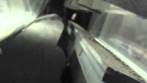 Milky kidney bean color sorting video