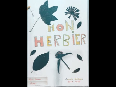 presentation d'un herbier de 6eme