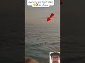 شوفو الاروكا شنو دارت ليهم مساكن اكسبلور Fypシ Viral Shorts Funny شوفو الاروكا شنو دارت ليهم مساكن اكسبلور Fypシ Viral Shorts Funny