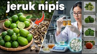 Inovasi Pertanian  Fungisida Dari Jeruk Nipis Yang Tidak Banyak Dibicarakan