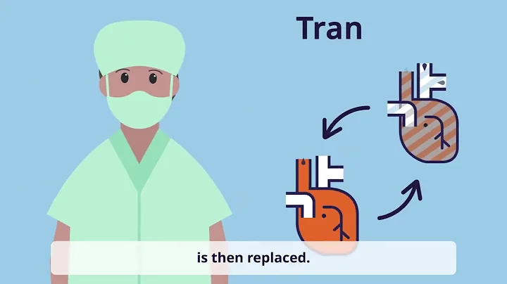 Which organs and tissues can you donate?