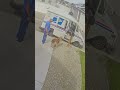 Diligent dog fetches the mail. See light-hearted moment with mail carrier.