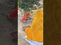 दुर्गा मा 👣माता रानी स्पेशल 🙏 #shorts #shortsvideo #status #viralshorts #viralvideo #bhakti #mataran