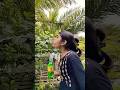 The human body transports water, greening the desert is funny special effects desert greening😁😅j7301