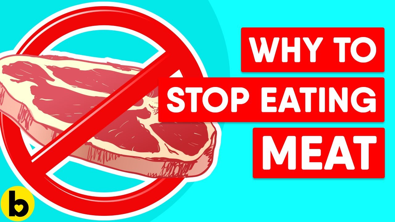 She eats meat. Магнит don`t eat meat!. No meat.