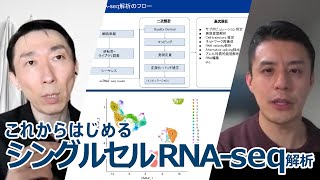 「これからはじめるシングルセルRNA-seq解析」ダイジェスト