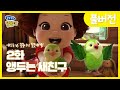 [쫑알쫑알 똘똘이 풀버전] 2화 - 앵두는 새친구 | Toritori Animation | EP.2 Bird Episode