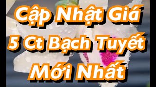 Cập Nhật Giá 5 Ct Bạch Tuyết Mới Nhất 2024