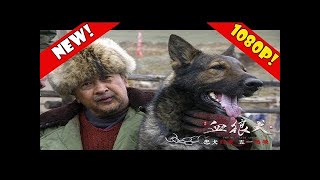 血狼犬 ( The Blood Hound 2017 ) - 主演: 黄宏 / 刘向京 / 赵婷婷 / 孙涛 / 王海燕