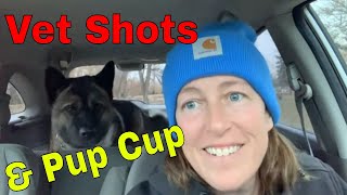 Vet Visit Akita Style @dairyqueen Pup Cup by Life Wild Open ® 384 views 4 months ago 9 minutes, 27 seconds