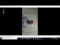 Girar vídeos de vertical a horizontal con Shotcut