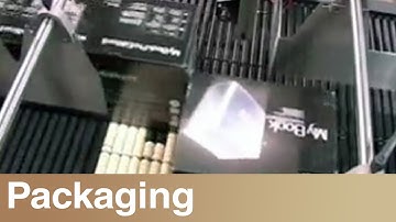 Shuttleworth - Conveyor Device - Box Laydown