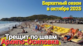 картинка: #Архипо - Осиповка Это Шок и Аномалия! Вода теплее чем в Сочи. Жара и толпы людей в Октябре 2025
