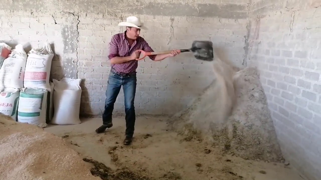 Así preparamos el alimento en Corrales Durán y maximizamos ganancias en el ganado/ Reto TEXANA 🤠