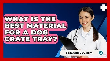 What Is The Best Material For A Dog Crate Tray? - PetGuide360.com