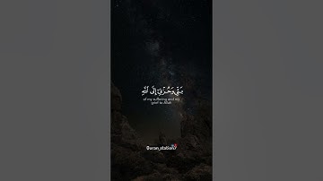 قال إنما أشكو بثى وحزنى إلى الله | سورة يوسف | عبد الباسط عبد الصمد