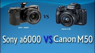 Prelude pude Skaldet Sony a6000 Vs Canon M50 – Detailed Comparison - What Camera?