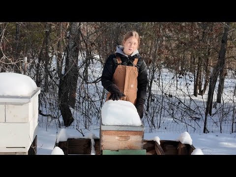 Late Winter Beekeeping Tips that Seem to Work! 🐝