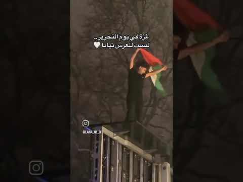 غزه في يوم تحرير ترند تصميمي تيك توك دويتو لايك   حالات واتس