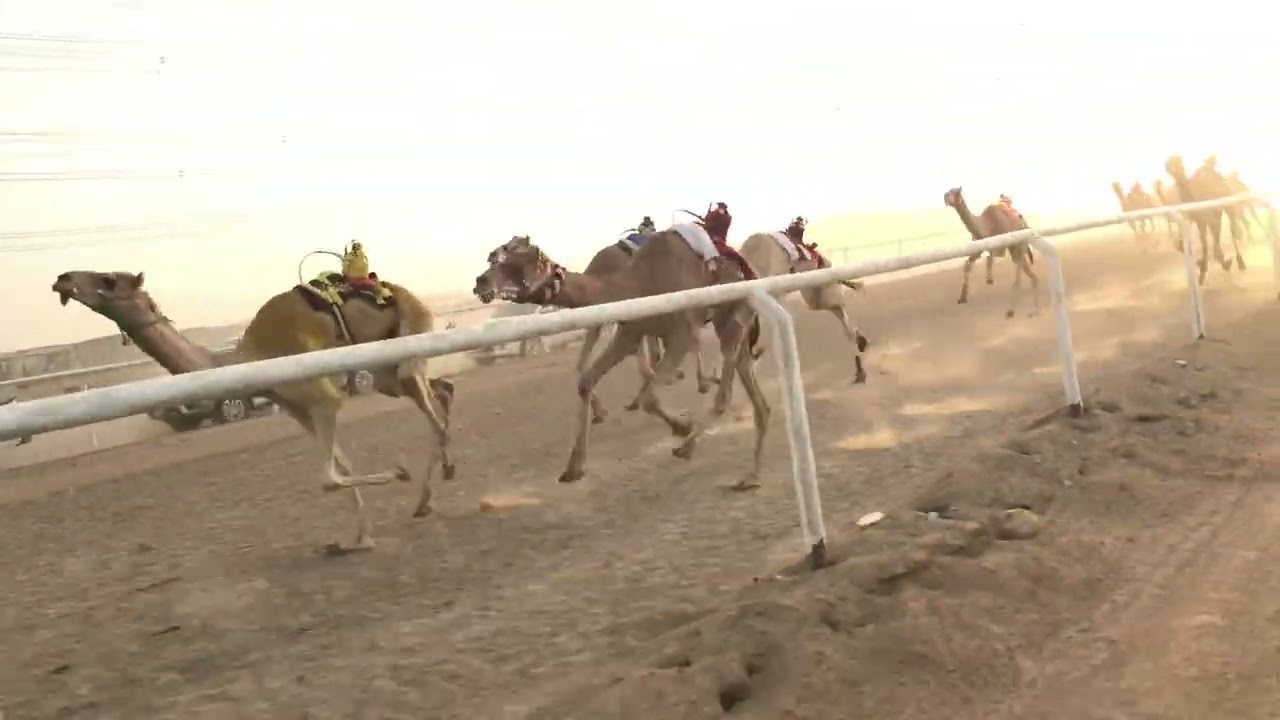 الشوط الثاني للقايا قعدان 