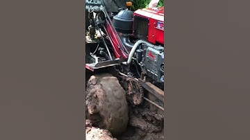 Xe công nông cầu đẩy chở lúa đường lầy