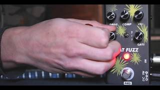 Fat Fuzz - FMS EFFECTS screenshot 4