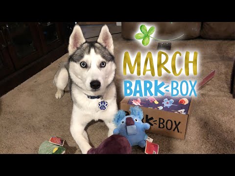 march-2020-barkbox-unboxing