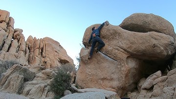 Yabba Dabba Don’t (**) V3 - Joshua Tree